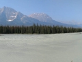 Jasper NP - Athabasca River Vista