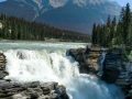 Jasper NP -  Athabasca Falls