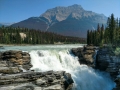 Jasper NP -  Athabasca Falls