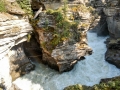 Jasper NP -  Athabasca Falls