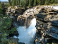 Jasper NP -  Athabasca Falls