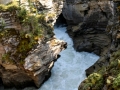 Jasper NP -  Athabasca Falls