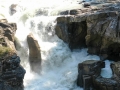 Jasper NP - Sunwapta Falls