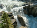 Jasper NP - Sunwapta Falls