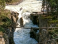 Jasper NP - Sunwapta Falls