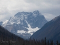 Kootenay NP - Mountain Vista