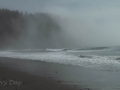 Foggy day on First Beach