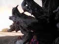 Mom & Kim at giant driftwood log on First Beach