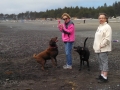Mom & Kim playing with the pups on First Beach
