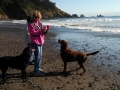 Kim playing with the pups on First Beach