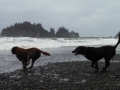 Jasmine & Pepper playing on First Beach