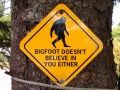 Bigfoot Doesn't Believe in You Either
