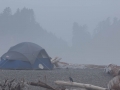 Foggy day at First Beach