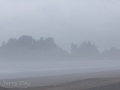 Foggy day at First Beach