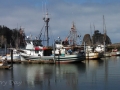 La Push Marina