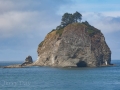 Sea stack rocks at La Push