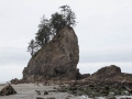 Dramatic sea stack rocks at Second Beach at La Push