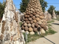 Lemmon Petrified Wood Park