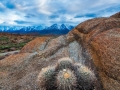 Cacti & Eastern Sierras Vista