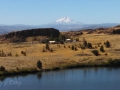 Columbia River Gorge & Mt Hood