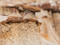 Theodore Roosevelt National Park - Badlands Detail