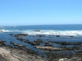 Point Arena - Mendocino Coast Vista