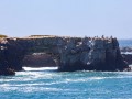 Point Arena - Mendocino Coast Vista - Sea Arch