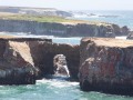 Point Arena - Mendocino Coast Vista - Sea Arch