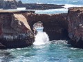 Point Arena - Mendocino Coast Vista - Sea Arch