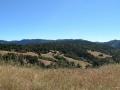 Mendocino Coast - Scenic Mountain View Road