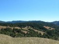 Mendocino Coast - Scenic Mountain View Road