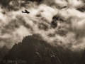 Plane flying down Columbia River Gorge - in black/white