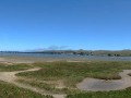 Bodega Bay Vista