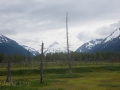 Mountain Vista near Portage