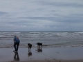 Jerry and pups at Manzanita Beach