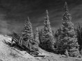 Mine at Mineral Creek - Red Mountain Mining District