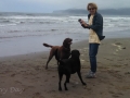Kim & pups playing on beach at Makah Bay
