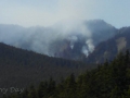 Forest fire at Hurricane Ridge, Olympic NP