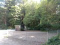 Emerald Forest Cabins & RV Park - New Dog Run