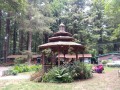 Emerald Forest Cabins & RV Park - Gazebo