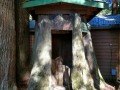 Emerald Forest Cabins & RV Park - Phone Booth Stump