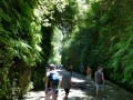 Fern Canyon - Crowds