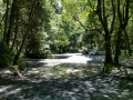 Fern Canyon