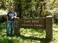 Lady Bird Johnson Grove - Redwoods Natl. Park - Jerry