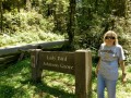 Lady Bird Johnson Grove - Redwoods Natl. Park - Kim