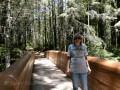 Lady Bird Johnson Grove - Redwoods Natl. Park - Kim