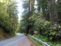 Prairie Creek Redwoods State Park