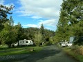 Truckee River RV Park - Sites