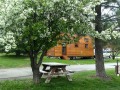 Truckee River RV Park - Sites