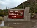 Saguaro National Park